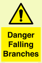 danger-falling-branches~